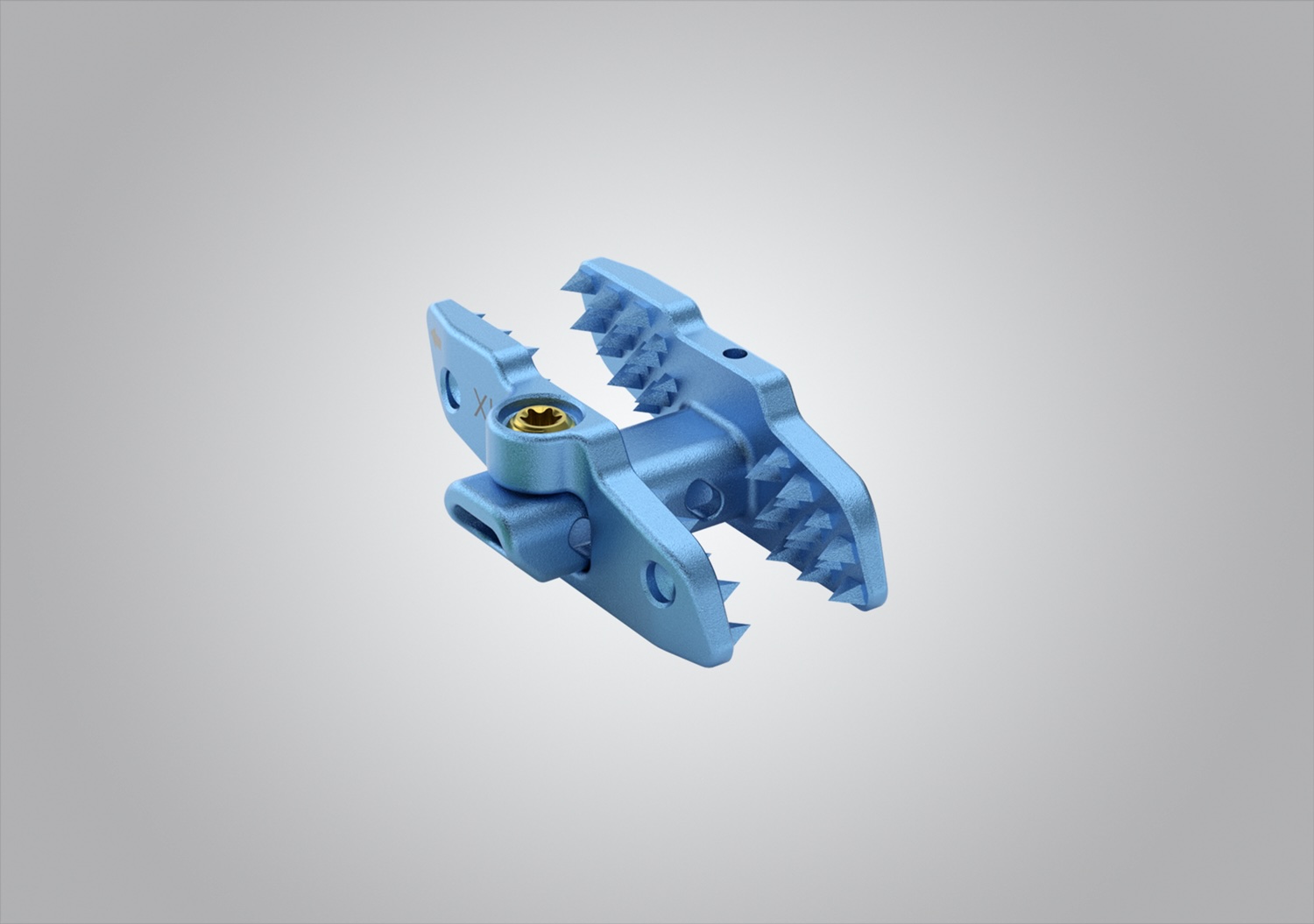 SPINOUS PROCESS Fixation System — CMMava